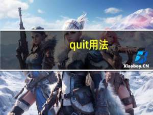 quit用法