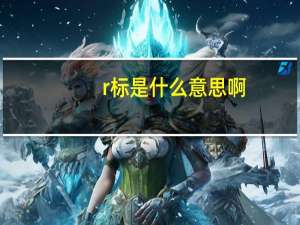 r标是什么意思啊（r标是什么意思）