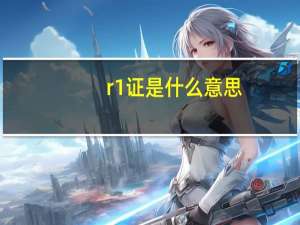 r1证是什么意思