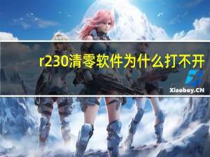 r230清零软件为什么打不开（r230清零软件怎么用）