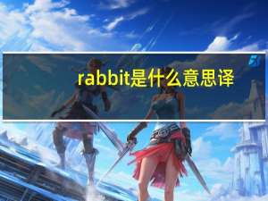 rabbit是什么意思译