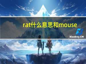 rat什么意思和mouse