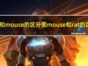 rat和mouse的区分图 mouse和rat的区别