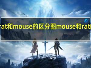 rat和mouse的区分图 mouse和rat的区别