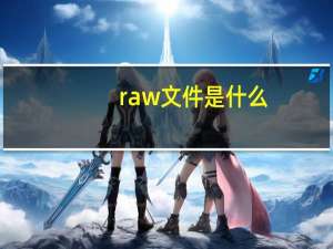 raw文件是什么