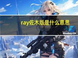 ray佐木版是什么意思
