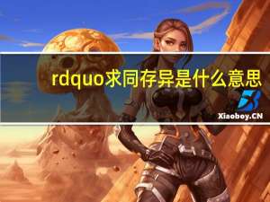 rdquo求同存异是什么意思？