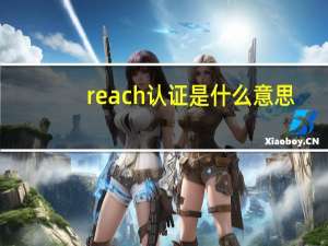 reach认证是什么意思（reach认证是什么认证）