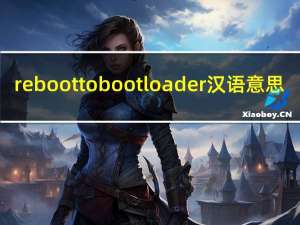 reboot to bootloader汉语意思（reboot to bootloader）