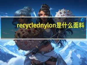 recycled nylon是什么面料