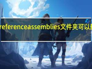 reference assemblies文件夹可以删除吗（reference assemblies）