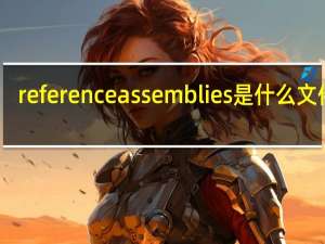 reference assemblies是什么文件夹