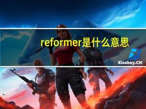 reformer是什么意思