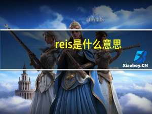 reis是什么意思