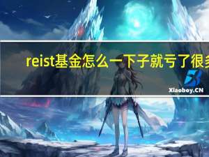 reist基金怎么一下子就亏了很多（reist基金怎么购买）