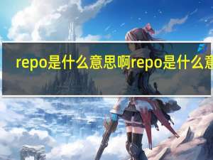 repo是什么意思啊 repo是什么意思