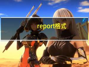 report格式