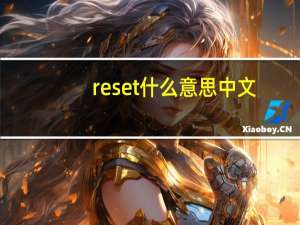 reset什么意思中文（reset什么意思）