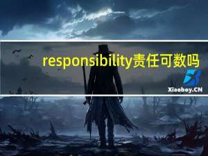 responsibility责任可数吗
