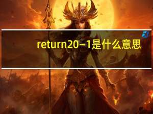 return ―1是什么意思