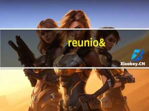 reunion是什么意思