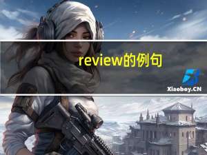 review的例句