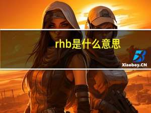 rhb是什么意思