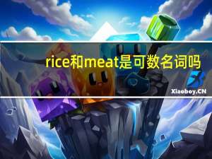 rice和meat是可数名词吗
