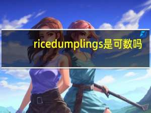 rice dumplings是可数吗