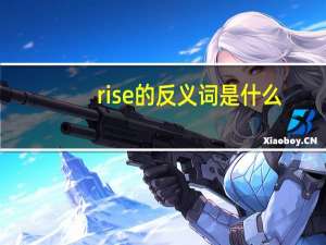rise的反义词是什么