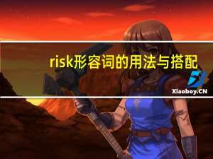 risk形容词的用法与搭配
