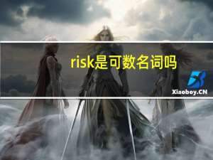 risk是可数名词吗