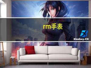 rm手表（rm格式）