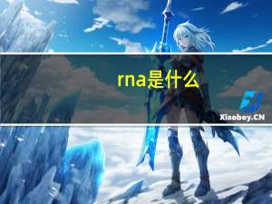 rna是什么
