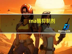 rna酶抑制剂（rna酶）