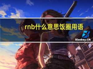 rnb什么意思饭圈用语