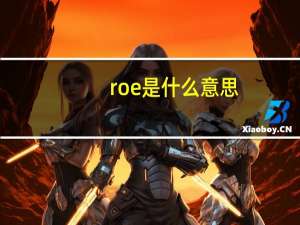 roe是什么意思