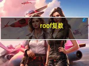 roof复数