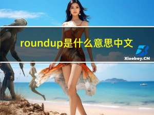 roundup是什么意思中文（roundup是什么函数）