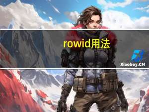 rowid用法
