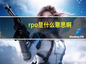rpo是什么意思啊（rpo是什么意思）