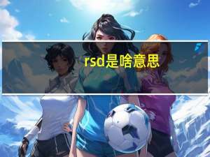 rsd是啥意思