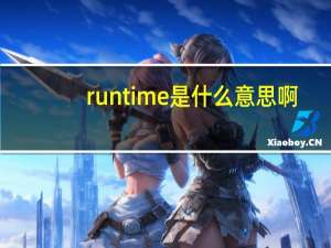 runtime是什么意思啊