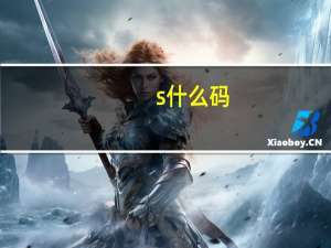s什么码