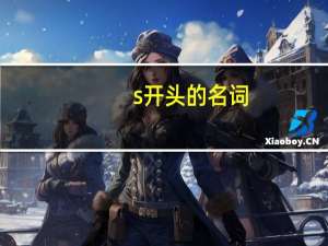 s开头的名词