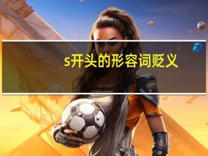 s开头的形容词 贬义