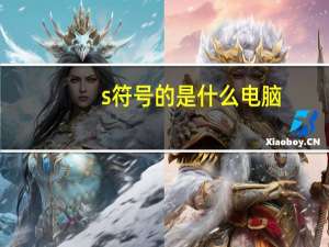 s符号的是什么电脑
