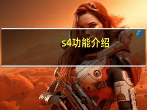 s4功能介绍（s4开发者选项在哪里）