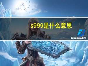 s999是什么意思