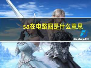 sa在电路图是什么意思